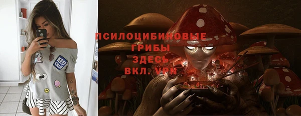 дурь Наволоки