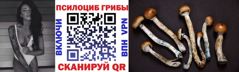 МЕГА   Обь  маркетплейс клад  Псилоцибиновые грибы Magic Shrooms 